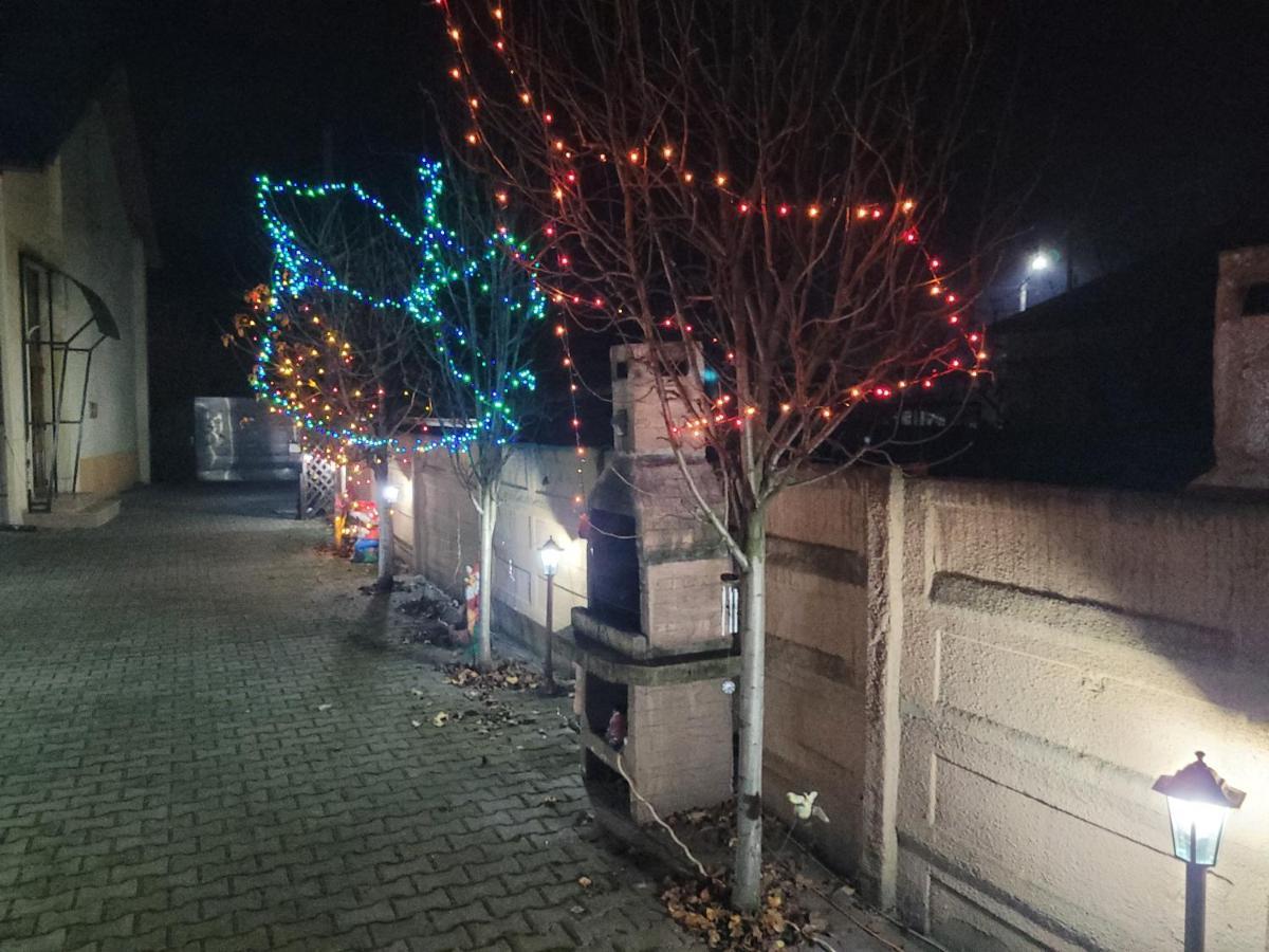 Casa Ovi Si Simo Haţeg Exterior foto