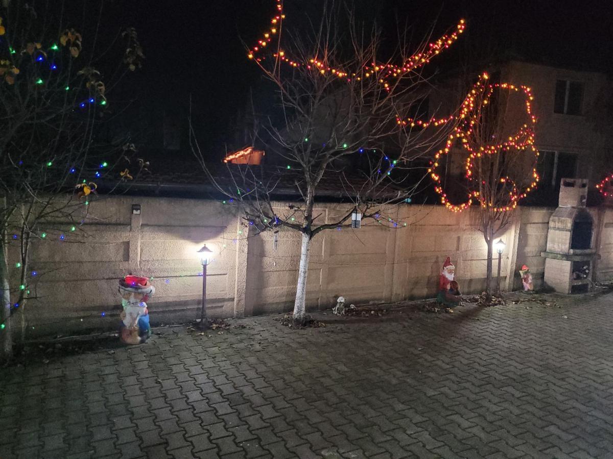 Casa Ovi Si Simo Haţeg Exterior foto