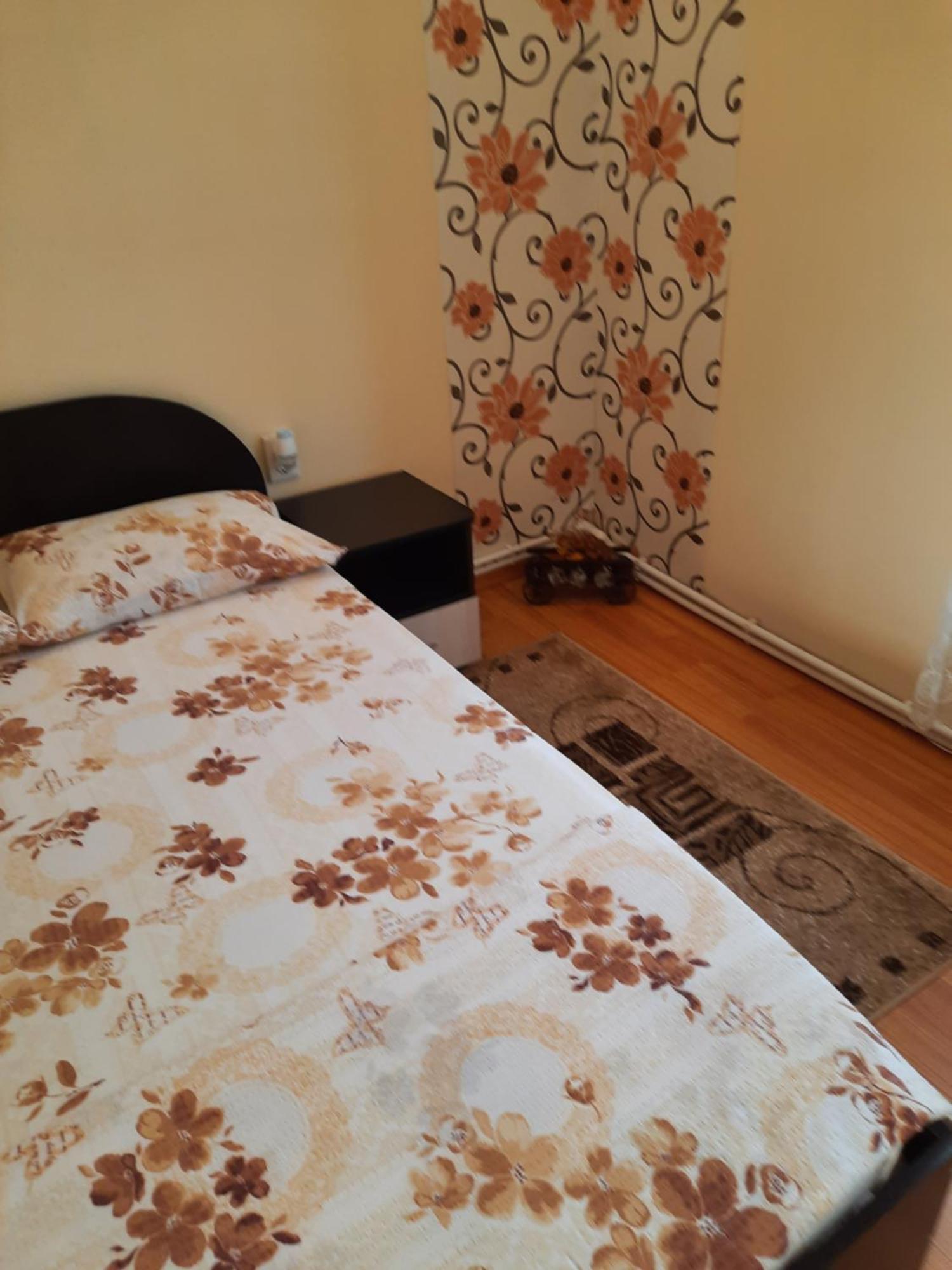 Casa Ovi Si Simo Haţeg Quarto foto