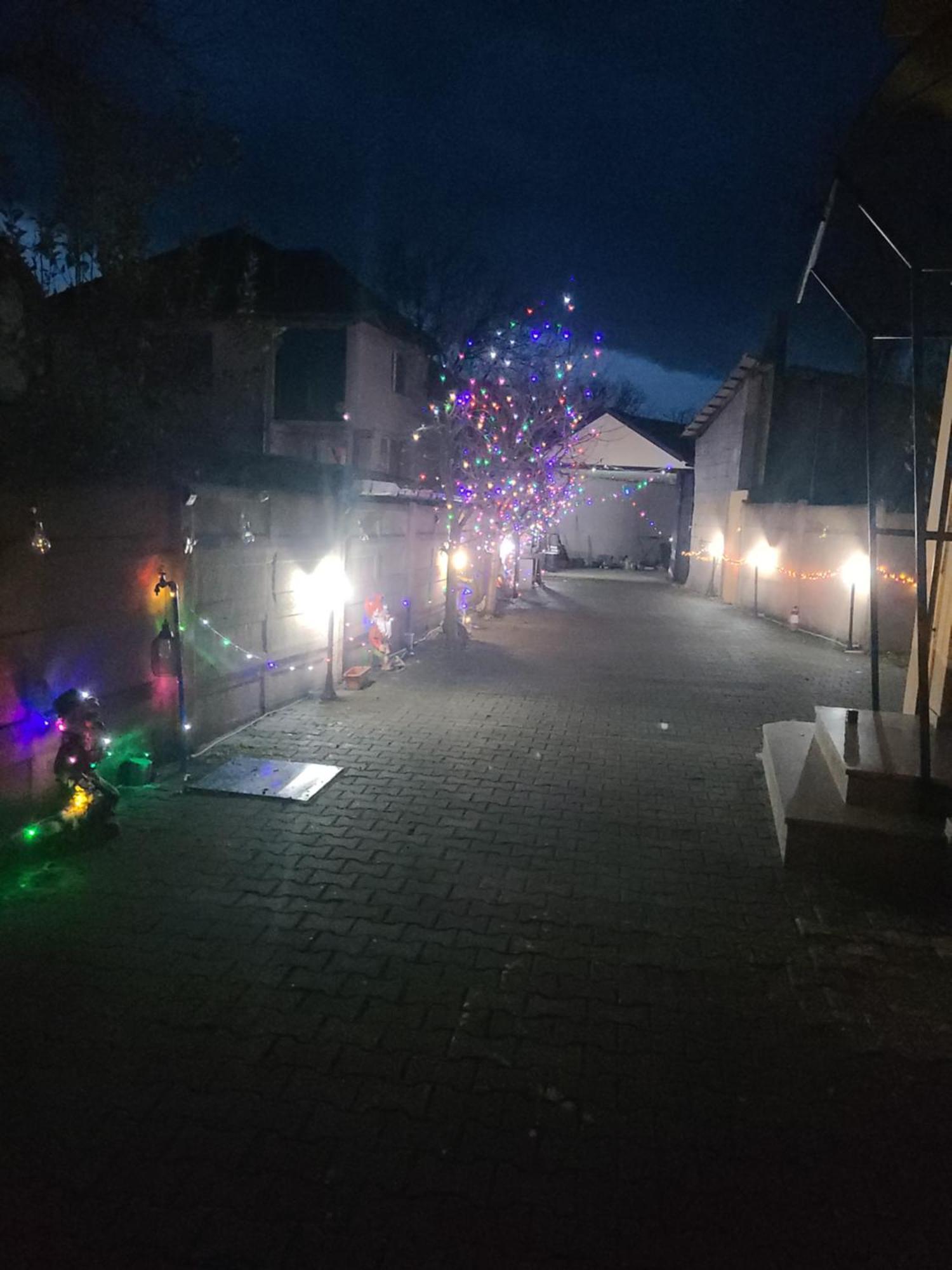 Casa Ovi Si Simo Haţeg Exterior foto