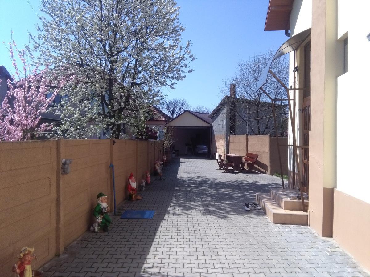 Casa Ovi Si Simo Haţeg Exterior foto
