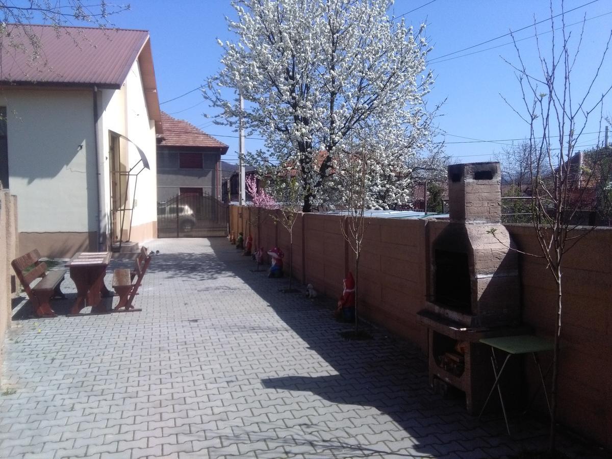 Casa Ovi Si Simo Haţeg Exterior foto