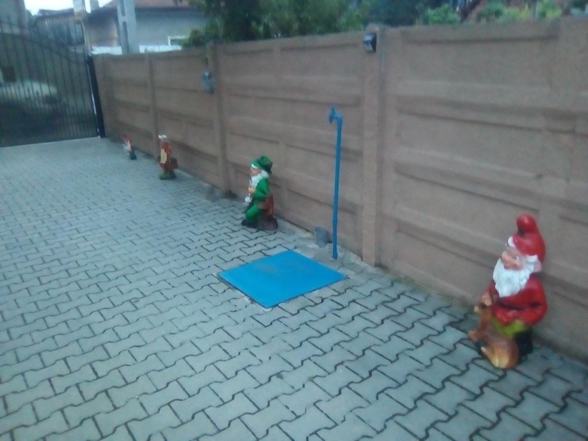 Casa Ovi Si Simo Haţeg Exterior foto