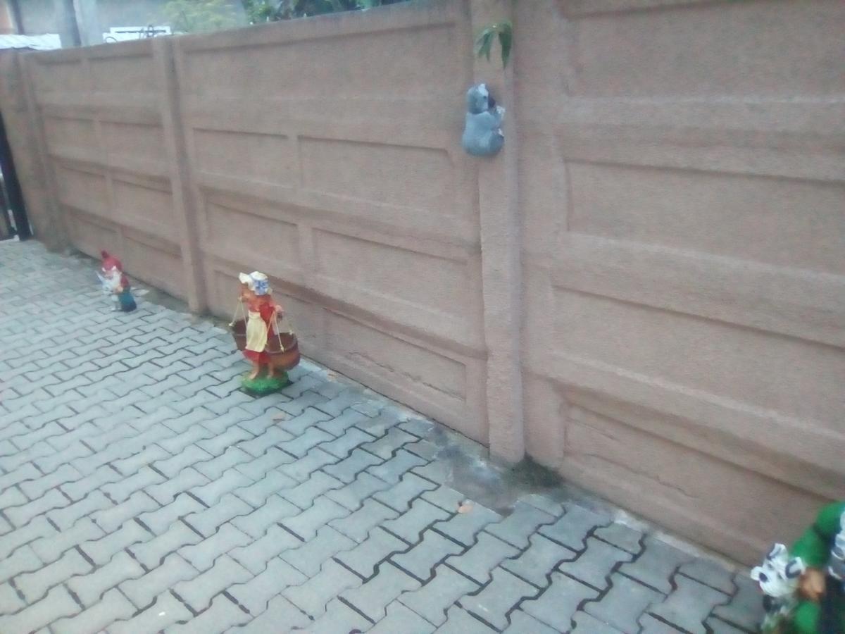 Casa Ovi Si Simo Haţeg Exterior foto
