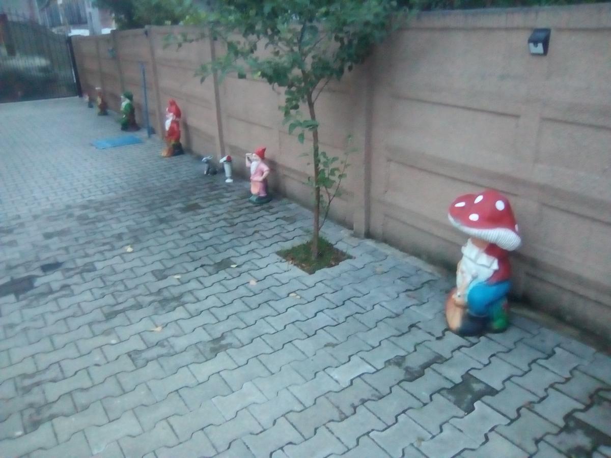 Casa Ovi Si Simo Haţeg Exterior foto