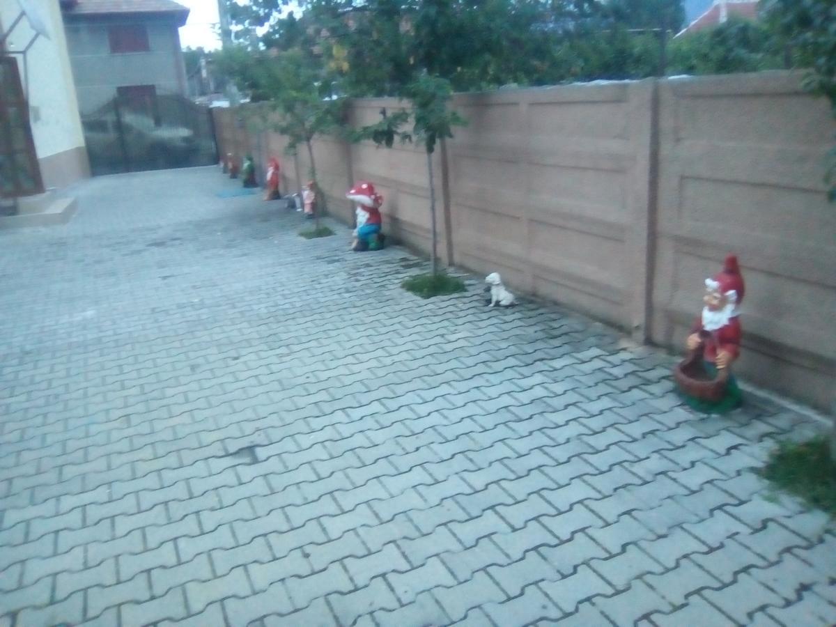 Casa Ovi Si Simo Haţeg Exterior foto
