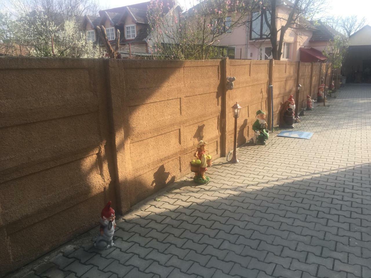 Casa Ovi Si Simo Haţeg Exterior foto