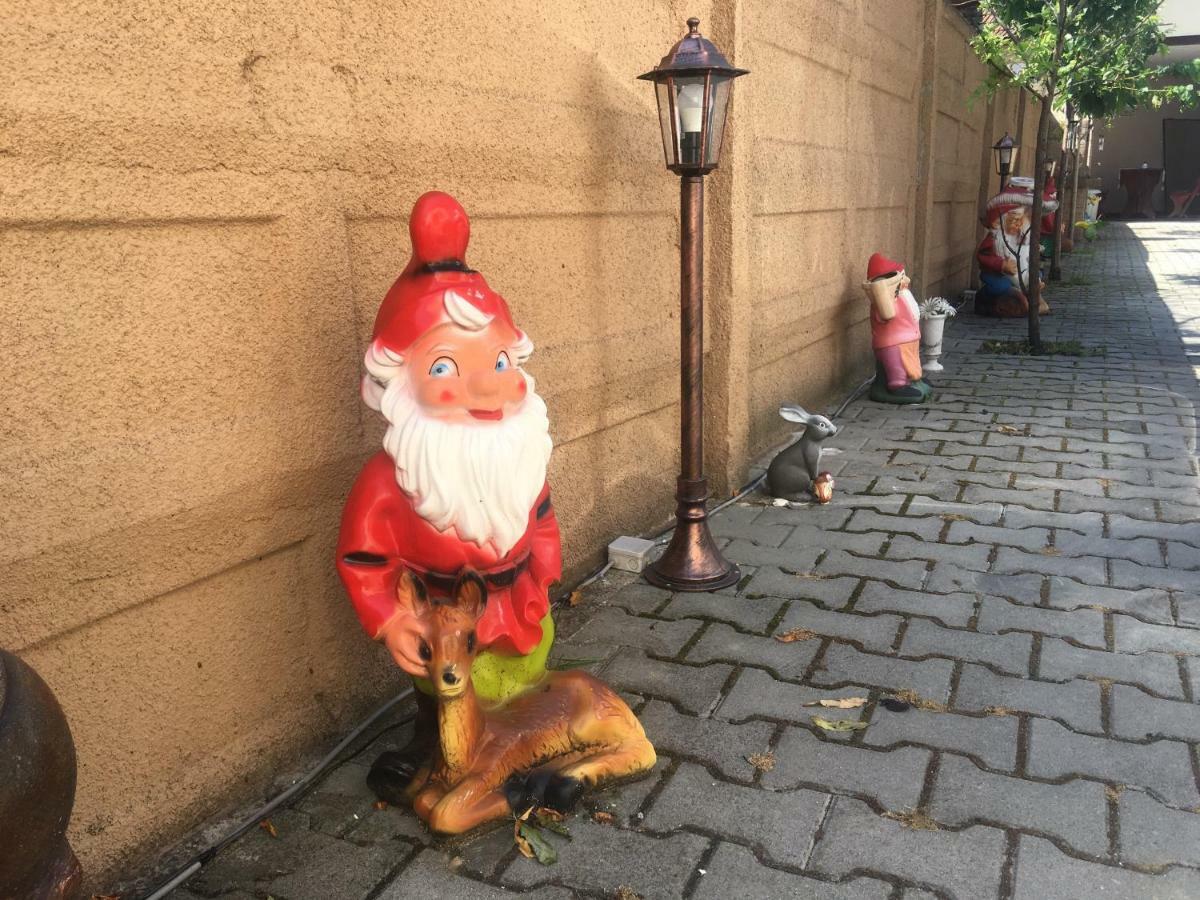 Casa Ovi Si Simo Haţeg Exterior foto